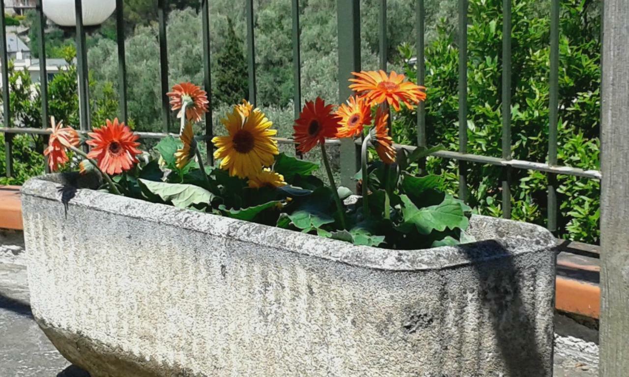 Appartamento Bellavista Moneglia Zewnętrze zdjęcie